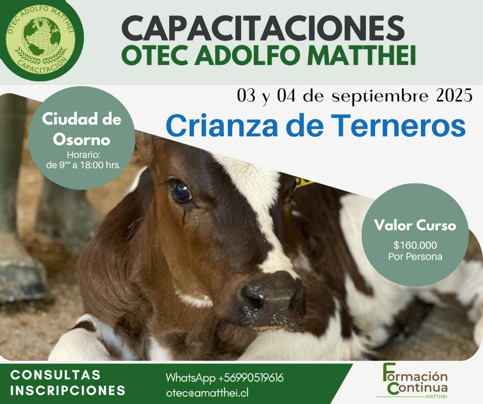 Crianza de Terneros