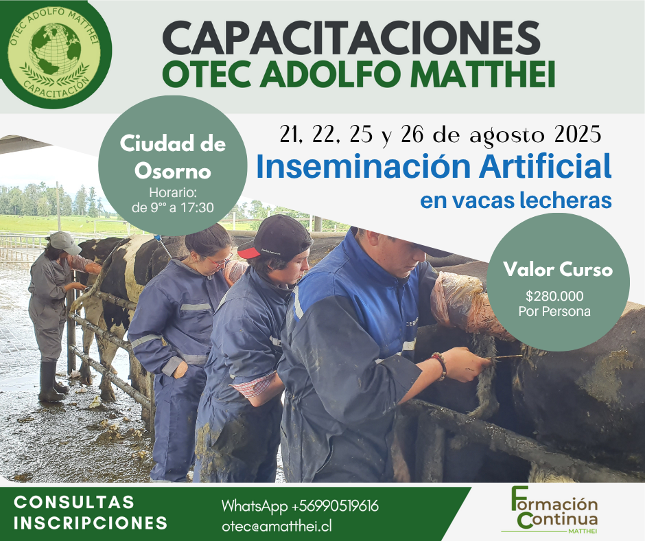 Inseminación