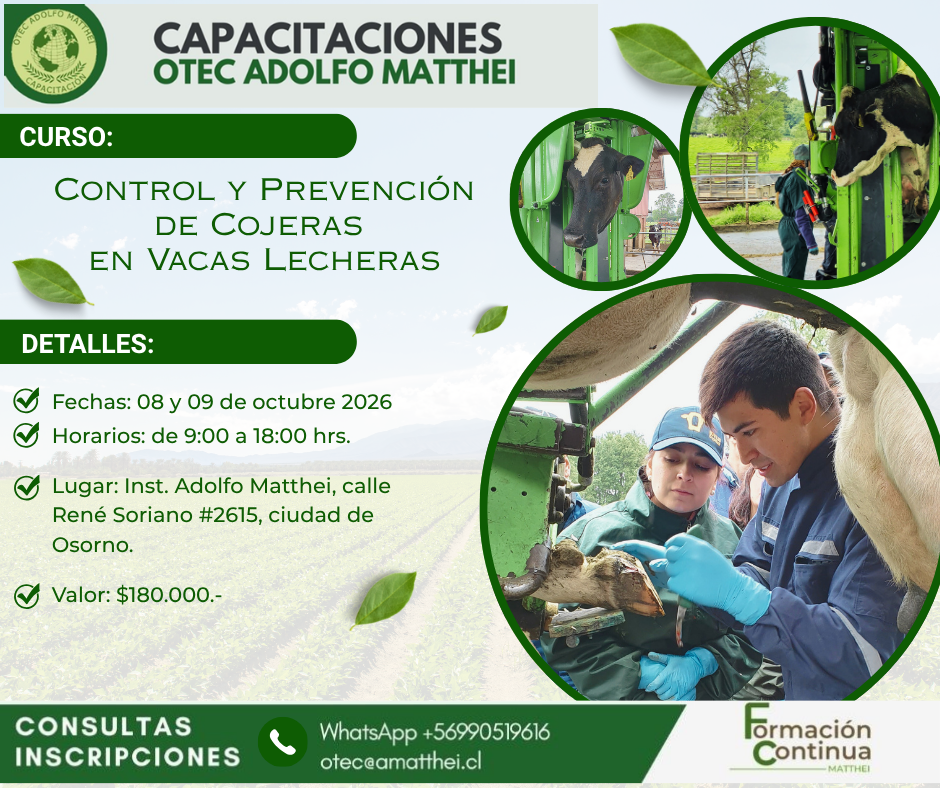 Cojeras OCT